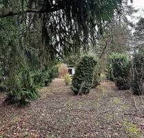 Sonniges Baugrundstück Bauträger frei - Hohen Neuendorf