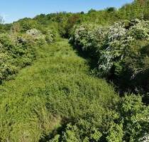 Streuobstwiese mit Teich - 25.000,00 EUR Kaufpreis, ca.  0,00 m² in Merzig (PLZ: 66663) Merchingen