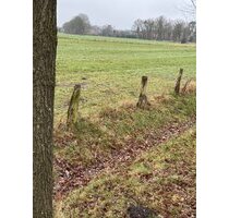 Eigener Grund und Boden - 48.825,00 EUR Kaufpreis, ca.  0,00 m² in Lengerich (PLZ: 49525) Niederlengerich