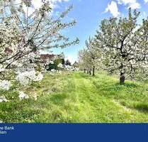 Freistehendes Viebrockhaus auf 1825 m² Traumgrundstück in 2. Reihe! - Jork