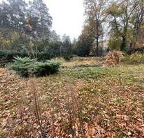 Baugrundstück in gefragter Lage im schönen Schildow