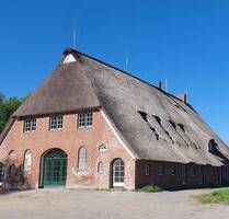 Ein Traum unter Reetdach – kernsaniertes, exklusives Landhaus in Elbnähe - Wischhafen Neulandermoor
