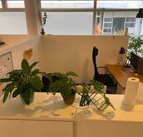 Coworking Freilassing - All-in-Miete