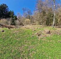 Idyllisches Baugrundstück am Waldrand in 66636 Tholey zu verkaufen