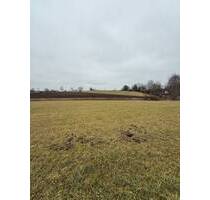 Landwirtschaftliche Nutzfläche - 80.000,00 EUR Kaufpreis, ca.  0,00 m² in Egling (PLZ: 82544) Deining