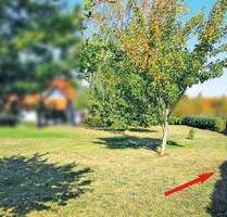 Ein Stück Garten im Innenbereich von Goslar-Weddingen auf Auktion der Galundo GmbH provisionsfrei kaufen