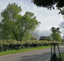 Doppelhauspartner gesucht! + Noch 1 Erbbaurecht + Grüne Lage am Stadtrand - Ahrensfelde Lindenberg