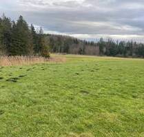 LANDWIRTSCHAFTLICHES GRUNDSTÜCK WIESENFLÄCHE Nähe Singold GEMARKUNG IGLING - nähe LL