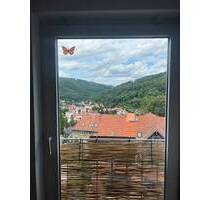 Bezug sofort möglich - KücheBad mit Fenster - Ruhla