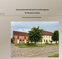 Modernisierter Resthof mit 5 Wohnungen und Pferdehaltung - Neustadt (Dosse) Babe
