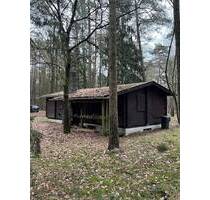 Wochenend-Blockhaus mit 8.922m² Waldgrundstück - Tostedt Todtglüsingen
