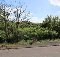 Sonniges Hanggrundstück in Feldrandlage mit Südausrichtung - Perfekt für Ihr neues Terrassenhaus - Breitscheid Medenbach