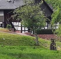 Stilvolles Fachwerkhaus in Schwarzwaldlage - charmant, flexibel, naturnah, bis zu 3 Wohneinheiten - Baden-Baden