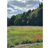 Baugrundstück in Niederwerrn - Ortsrandnähe