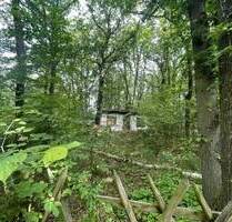+++ Großes Gartengrundstück im Erholungsgebiet von Leißling +++ - Weißenfels