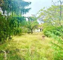 Grundstück mit Potential - ruhige Wohnlage in Deutsch Wusterhausen - Königs Wusterhausen