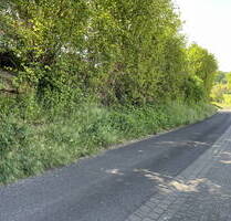 110.000,00 EUR Kaufpreis, ca.  0,00 m² in Bad Orb (PLZ: 63619)