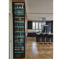 modernes Einfamilienhaus, Smart-Home, Pool, Garage, Wellness, am Jungfernsee, provisionfrei - Potsdam Nedlitz