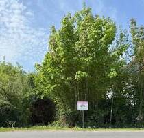 Großes Baugrundstück für kleines Geld - in verkehrsgünstiger Lage - Lemgo Voßheide