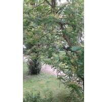 Sonnige 2-Zi-Balkonwhg, Altbau, 3. OG, 2 gleichgr. Zimmer + große Küche - Berlin Oberschöneweide