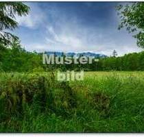 Baugrundstück in Dernbach - 190.000,00 EUR Kaufpreis, ca.  0,00 m² in Dernbach (PLZ: 56307)