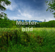 Großzügiges Baugrundstück in Heiligkreuzsteinach - Eiterbach