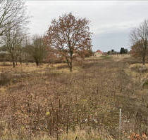 18.662 m² Baureifes Land in Eberswalde - Mischgebiet