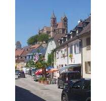 3-Zi-EG-Wohnung inkl. Garten, Terrasse, Garage, Stellplatz - Breisach am Rhein