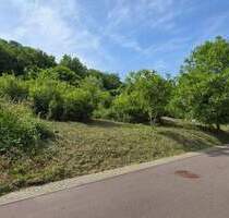 10 MIN. VON REMICH: 13 AR, 24 METER BREIT SOFORT BEBAUBAR! - Kirf