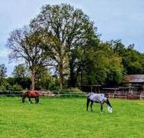 ländlich Wohnen mit Pferden nahe der Metropole Hamburg - Weddelbrook