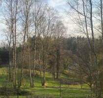 Baugrundstück 2 mit Wald und Wiesen - Flossenbürg Altenhammer