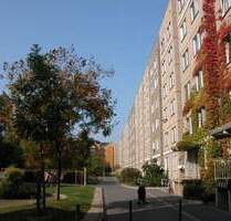 Helle 3- Zimmerwohnung in zentraler Lage zu vermieten - Dresden Friedrichstadt