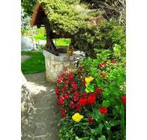 Ein interessantes Anwesen erregt Ihre Aufmerksamkeit - Dresden Niederwartha