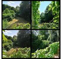 Sie suchen das Besondere? Viel Charme in alten Mauern! - Zwiesel