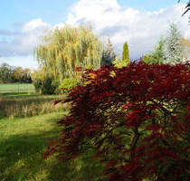 Grundstück in Dabendorf mit Blick auf Feld und Naturschutzgebiet