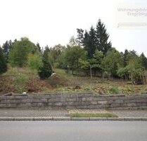 Reizvolles Baugrundstück in der Bingestadt Geyer!