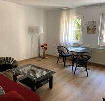 Neu renovierte, möblierte 2-Zimmer-Wohnung, 47 qm, Burgnähe - Nürnberg Altstadt / St. Sebald