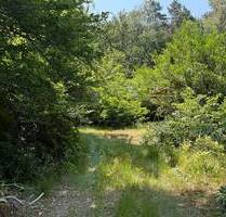 *** Großes Baugrundstück in ruhiger Lage *** - Rullstorf Neumühlen