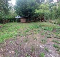 Renovierungsbedürftiges kleines Haus auf einem grün eingewachsenen Grundstück in sehr ruhiger Waldrandlage mit 802 m² in Wiesendorf bei Neukirchen NW - Weiden in der Oberpfalz