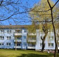 Gemütliche 3-Zimmer-Erdgeschoßwohnung in Korbach