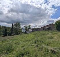 8.193 m² Wohnbauflächen in Bergisch Gladbach-Moitzfeld