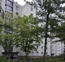 2 Zimmer in Viernheim - 480,00 EUR Kaltmiete, ca.  59,80 m² Wohnfläche in Viernheim (PLZ: 68519) Alexander-v.-Humboldt-Schule 4