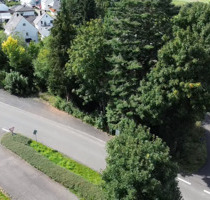Wohnen im Nationalpark: Baugrundstück in zentraler Lage von Malborn