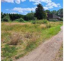 Sonniges Baugrundstück Süd-West Ausrichtung in zweiter Reihe ! - Hohenlockstedt