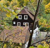 1 Familienhaus für Naturliebhaber im SüdHarz. - Walkenried