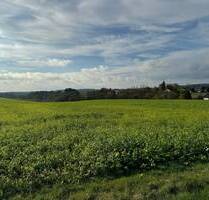Eckgrundstück Neubaugebiet Auf´m Maarflur Landscheid *provisionsfrei*