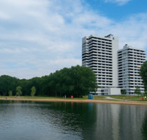 Die Lage macht den Unterschied: Sanierte 1-Zimmer-Wohnung mit Seeblick & TG-Stellplatz - Nürnberg Tullnau