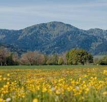 Wohnen im Grünen mit eigenem Garten - Zarten
