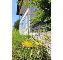 Mehrgenerationshaus mit 2 Wohneinheiten, mit ausbaufähigen Dachgeschoss! - Memmelsdorf