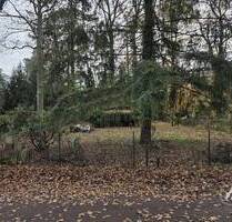 Freies Grundstück in der Nähe von Berlin zum selber bebauen oder einfach zum anlegen! - Schönwalde Schönwalde-Siedlung